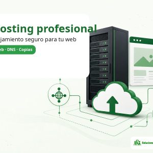 Imagen principal del producto Plan de hosting profesional para páginas web de MkZ Soluciones