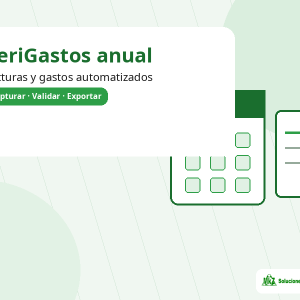Imagen principal del producto VeriGastos anual para automatización de facturas y gastos de MkZ Soluciones